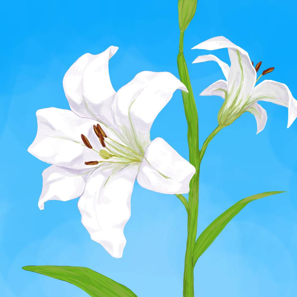 スライド画像 1