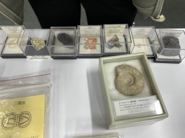 スライド画像 3