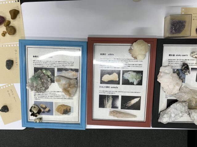 スライド画像 4