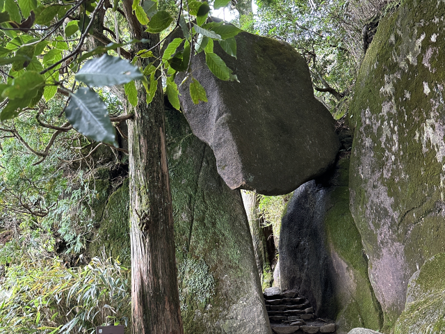 スライド画像 5