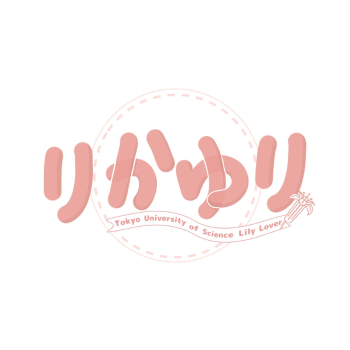 企画の写真